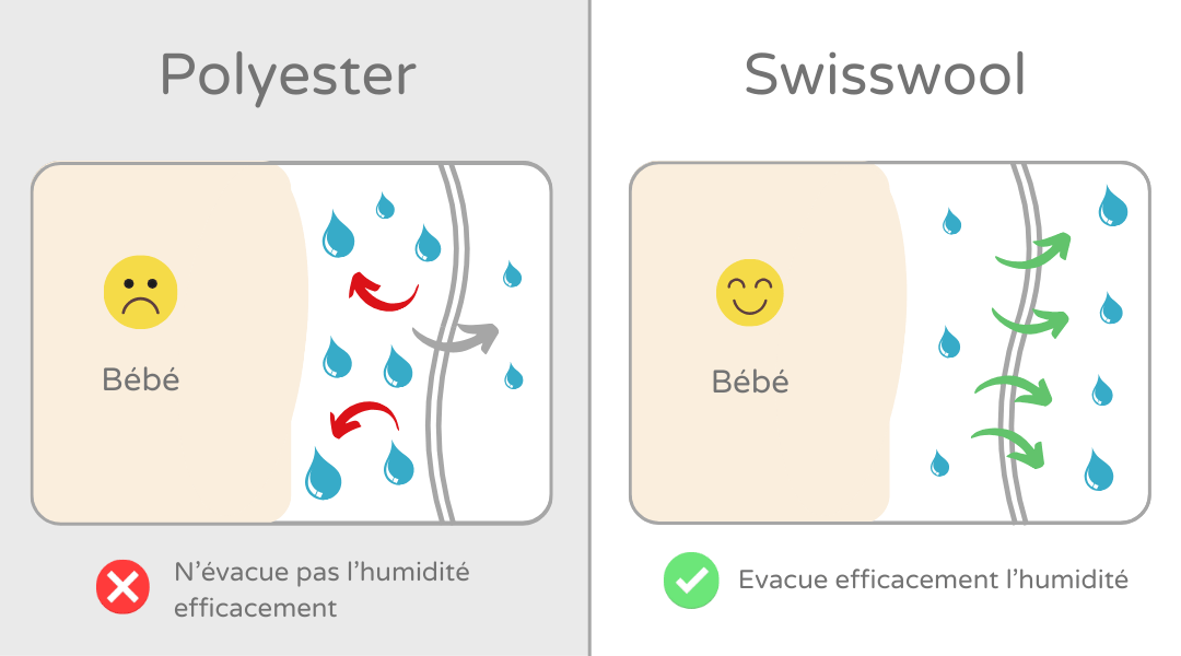 Schéma polyester vs swisswool